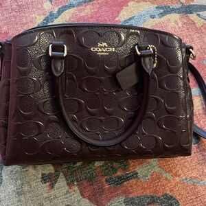 Chocolate Brown Coach Purse